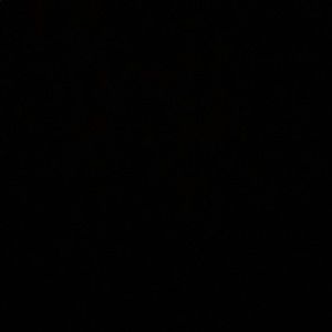 Meet your Posher, Alexander